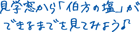 見学窓から「伯方の塩」ができるまでを見てみよう♪