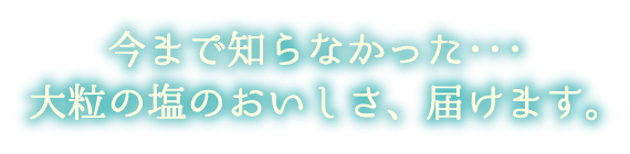 今まで知らなかった…大粒の塩のおいしさ、届けます。