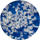 Coarse salt crystals